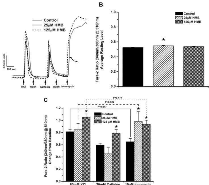 Fig 2. HMB increases depolarization-induced calcium release, caffeine induced calcium release from the SR, and total calcium storage of C 2 C 12 myotubes