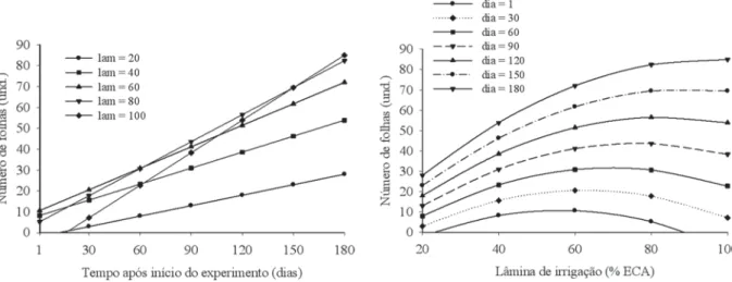 Figura 6. Número de folhas (NFO) das plantas de café conilon (unidades) em função do tempo após o início do experimento (dias) e das lâminas de irrigação aplicadas (lam = % ECA), respectivamente.