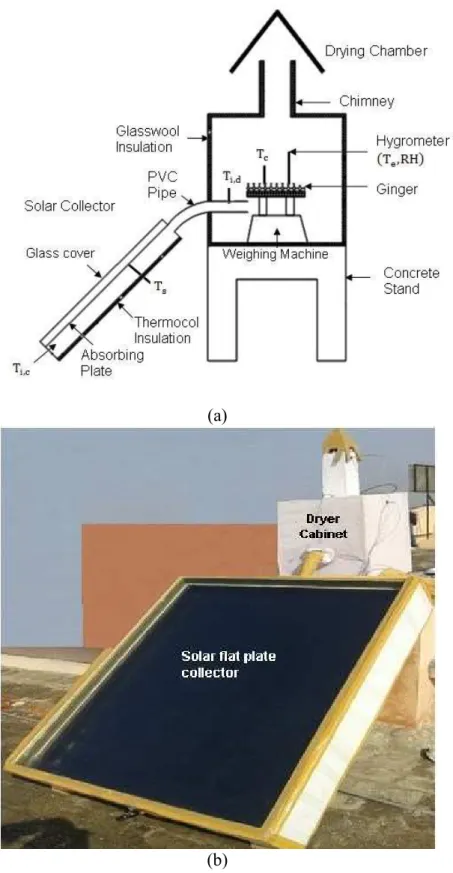 Figure 1. Experimental setup (a) schematic view; (b) pictorial view. 