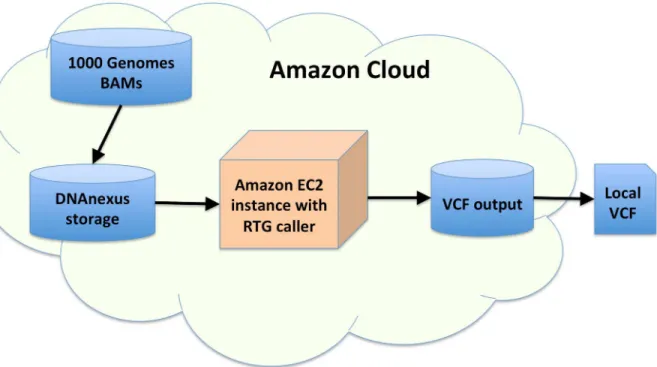 Fig 1. Variant calling pipeline. Diagram of variant calling pipeline. Blue indicates storage and orange indicates computing.