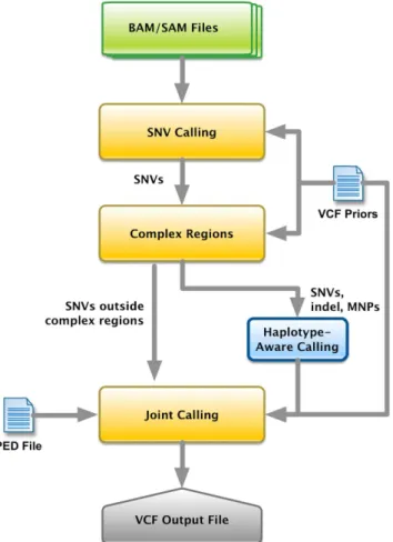 Fig 4. RTG population caller workflow. Diagram showing the workflow of the RTG population caller.