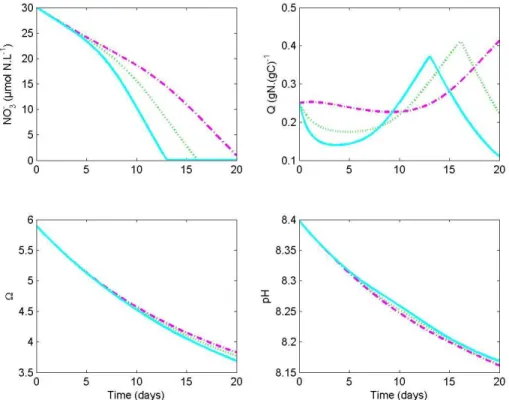 Fig. 3. Simulated nitrate concentration, internal quota, calcite saturation state and pH, depend- depend-ing on the considered regulatdepend-ing variable D p (CO 2 : 