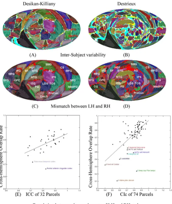 Figure 7. Inter-subject and inter-hemispheric variability of cortical parcellation. Semi-transparent color schemes show the parcellations defined in Desikan et al