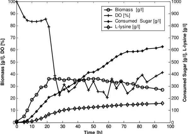 Fig. 1 Time course of the experimental data 