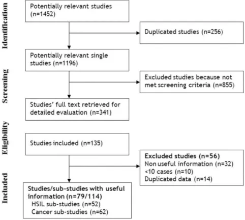 Figure 1. Study flow diagram.