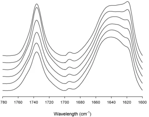Figure 1. Spectra of lipid esters and amide I band of several LDL samples analyzed. Infrared spectra from 1780 to 1600 cm 21 of different LDL samples recorded in D 2 O buffer at 37 u C