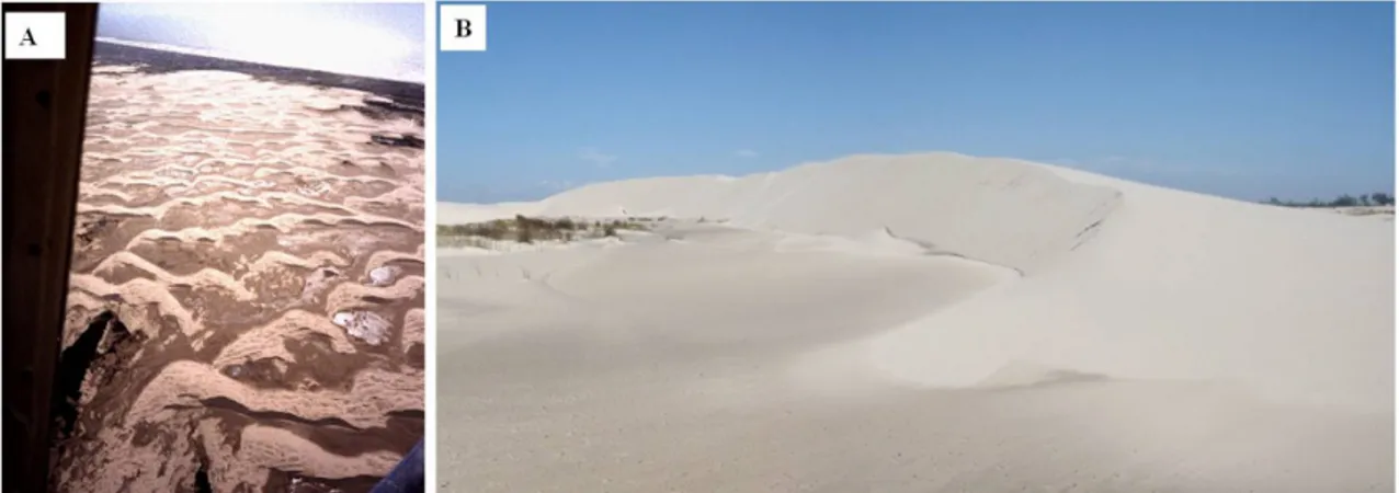 Figura 10. A) Campo de dunas da Barreira IV na região da Praia das Cabras (Fotografia: Nelson Gruber), B) dominado  por cadeias barcanóides (Fotografia: Luana Portz)