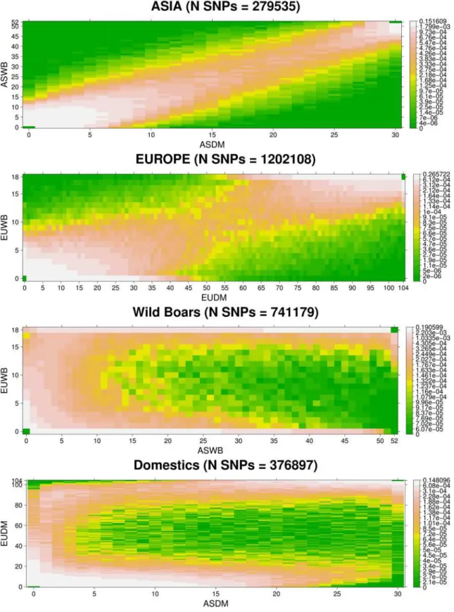 Fig 6. Joint site frequency spectra between population groups. Only SNPs found in the modal number of samples per groups were used
