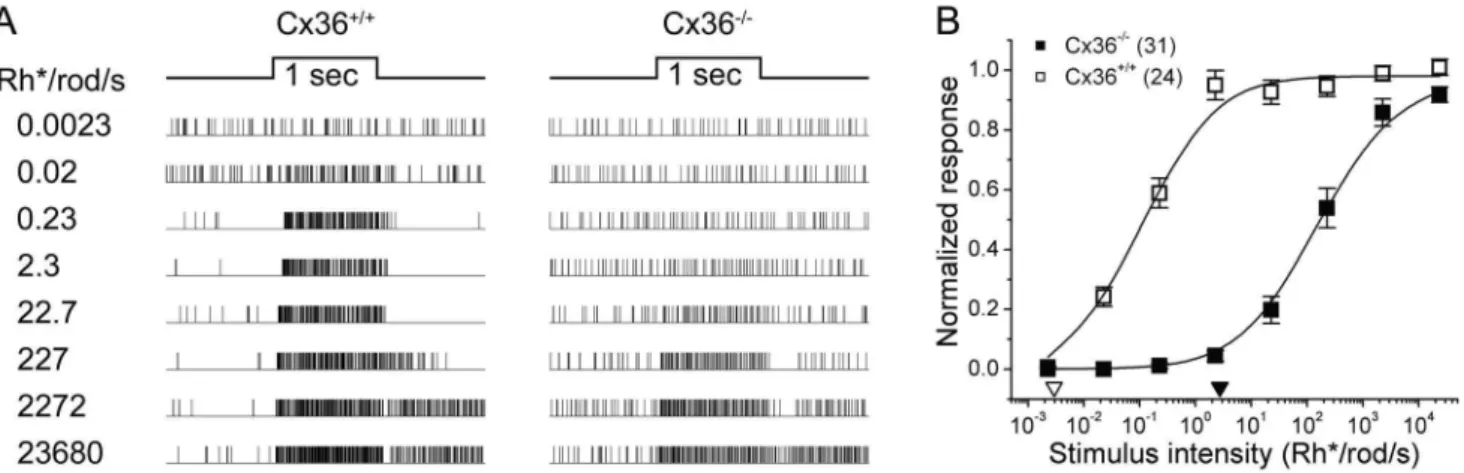 Figure 4. Pharmacological blockade of gap junctions mimics Cx36 knockout, reducing sensitivity of synaptic input to ipRGCs