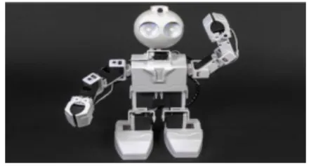 Figura 1 - Imagem de divulgação do EZ-Robot JD Humanoid 