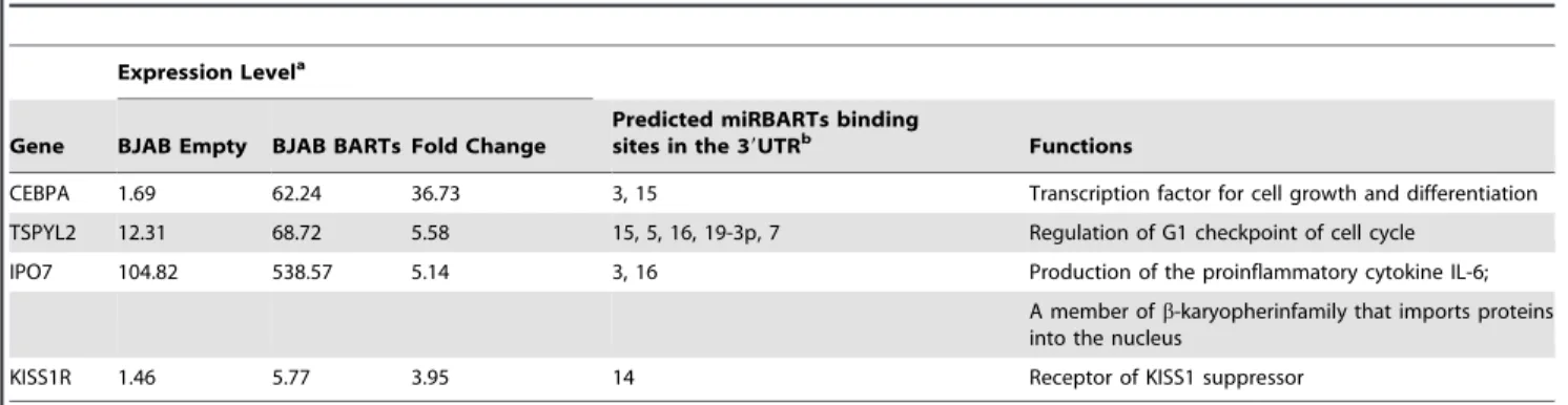 Table 5. Putative targets enriched in RISCs of both BJAB BARTs and Jijoye cells.