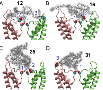 Fig 3. Mimicking the action of scorpion venom peptides using the four peptidomimetic star polymers in Fig 1