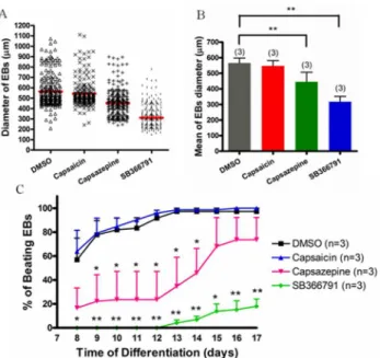 Fig 4. Effect of TRPV1 agonist or antagonists on EB sizes and EB beating curves. (A) (A) Summary of data illustrating EB size distribution on the differentiation day 7 after treatment with 0.1% DMSO (vehicle control), 1 μM capsaicin, 10 μM capsazepine, or 