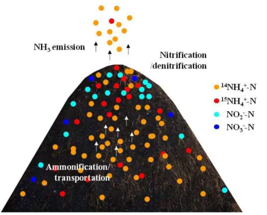 Figure 5. Summary of the events between the pile turnings.