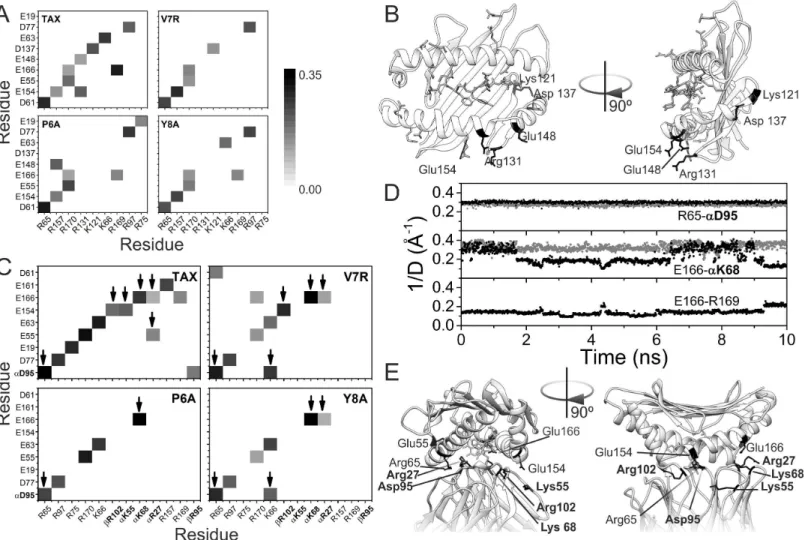 Fig 4. Salt bridge patterns. (A) Patterns of salt bridges in the binary complexes, p-HLA