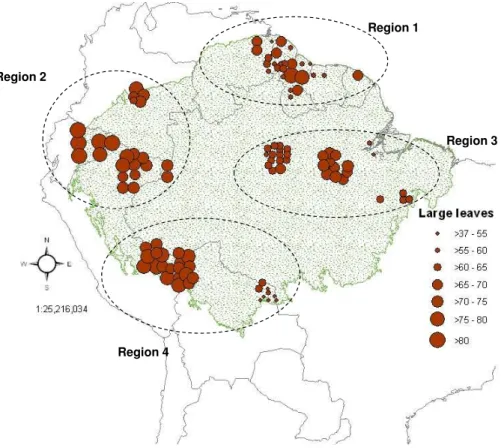 Fig. 4. Map of the incidence of species with large leaf size category (categories 5 to 7) in each plot organized by proportion categories and regions (region 1, North Amazonia; region 2,  North-West Amazonia; Region 3, Central and East Amazonia; Region 4, 