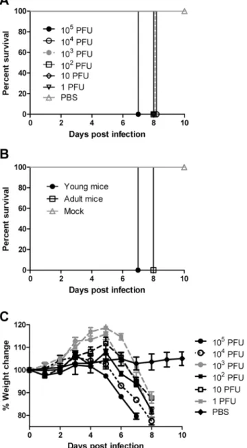 Fig 1. ZIKV causes mortality and morbidity in AG129 mice. Kaplan-Meier curves illustrate the susceptibility of AG129 mice to ZIKV