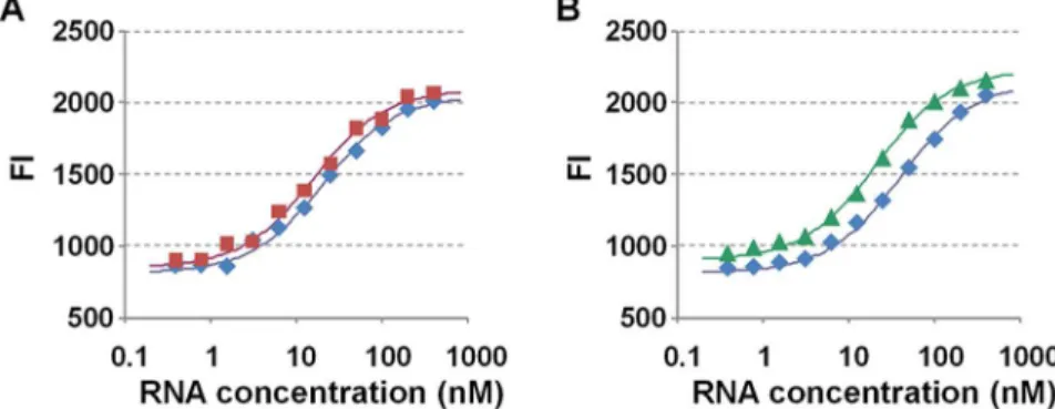 Table 1. Observed association constants between RNA libraries and TMR-Tat at 37 u C.
