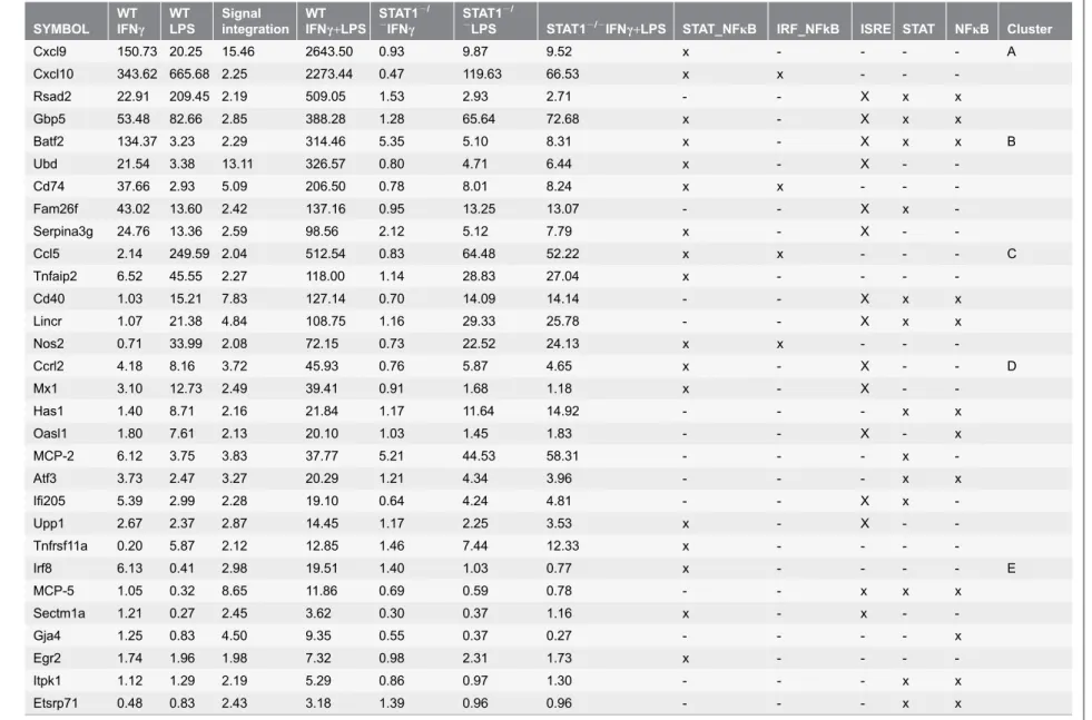 Table 1. Genes prone to synergistic amplification upon stimulation with IFNc and/or LPS and their promoter analysis