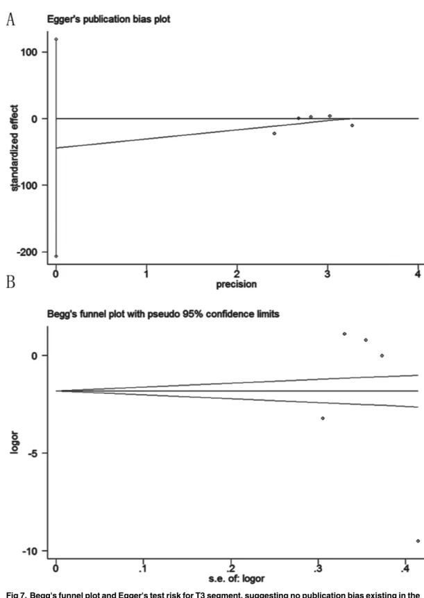 Fig 7. Begg's funnel plot and Egger's test risk for T3 segment, suggesting no publication bias existing in the pooled analysis