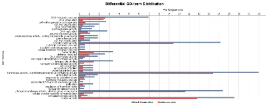Figure 5. COG functional distribution of the H. brasiliensis bark transcriptome.