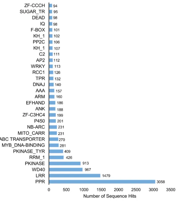 Figure 6. Distribution of the top 30 Pfam domains identified in translated H. brasiliensis transcripts.