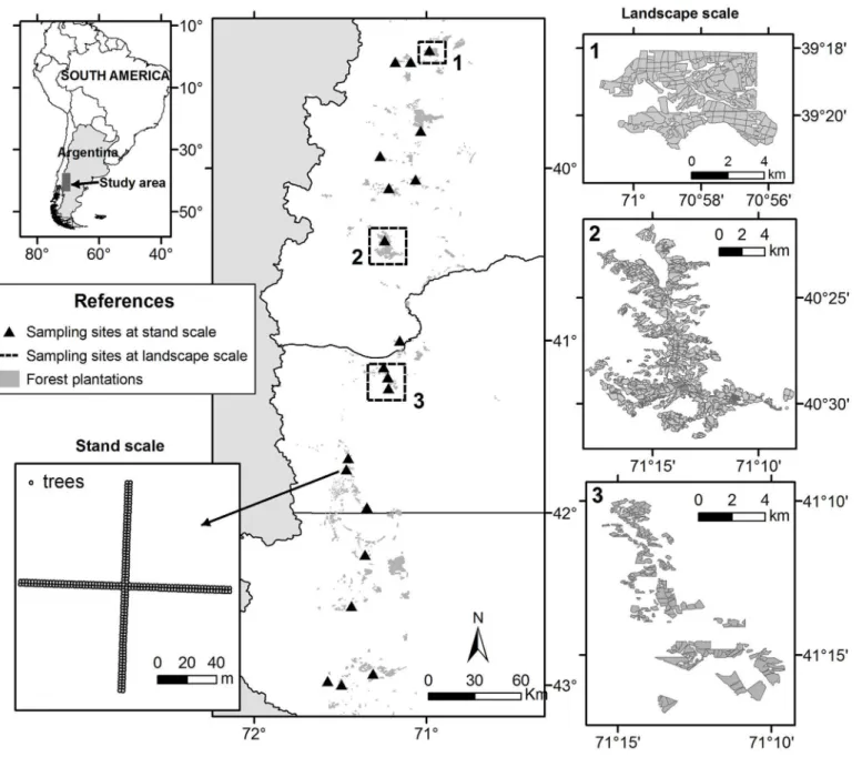 Fig 1. Location of the study area in Patagonia, showing sampling sites at landscape and stand scale.