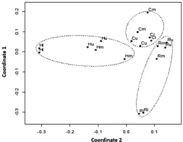 Figure 5. Metric multidimensional scaling analysis based on dis- dis-tance matrix of SSCP profiles of soil sampled from the columns C (uncontaminated soil), H (contaminated by the raw waste  contain-ing oily compounds and radionuclides), and R (contaminate