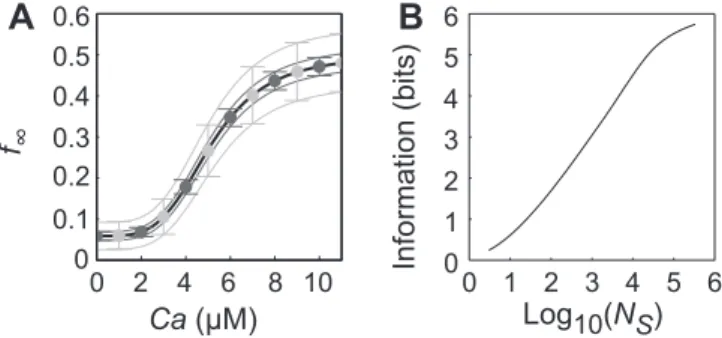 Figure 2. Information Coding