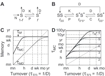 Figure 5A). We iterated this computation for different values of the Hill number to assess memory robustness to basal calcium ﬂuctuations over a large range of memory timescales.