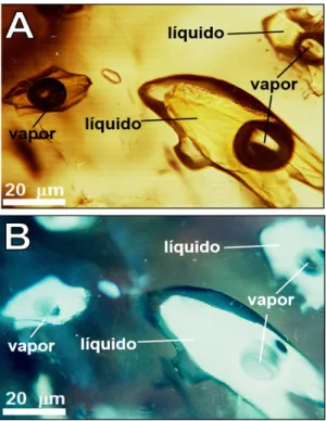 Figura 12. Fotomicrografia de exemplos de inclusões  fluidas de óleo em (A) luz transmitida polarizada  branca e (B) sob luz ultravioleta epifluorescente  com cor de fluorescência branca azulada (Suchý  et al