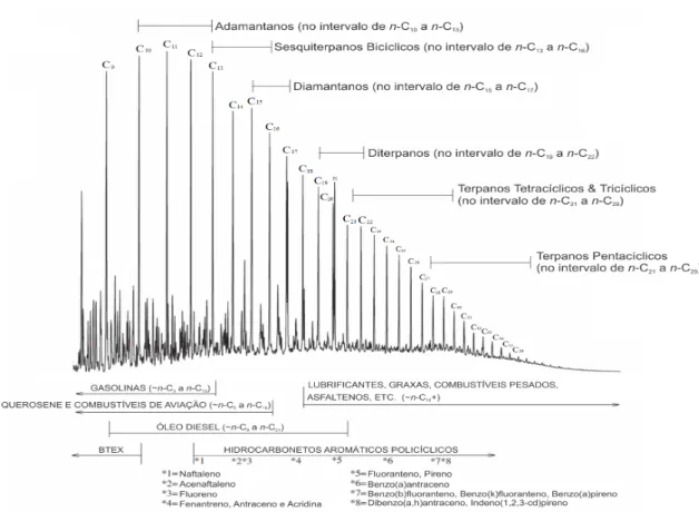 Figura 13. Cromatograma em fase gasosa de petróleo, que exemplifica toda a abrangência de classes de componentes  presentes no petróleo de uma inclusão fluida, incluindo compostos saturados, compostos aromáticos (BTEX-benzeno,  tolueno, etil-benzeno, xilen