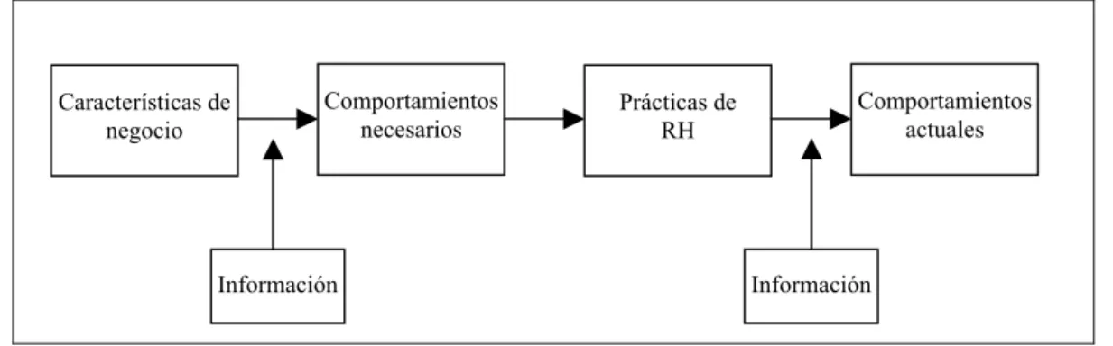 Ilustración 2: La Teoría del Comportamiento aplicada al Estudio de la Efectividad de la  DRH 