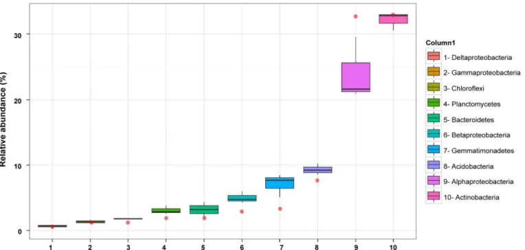 Fig 3. Relative abundance of the 10 most abundant phyla/ proteobacterial classes in the pyrosequencing datasets