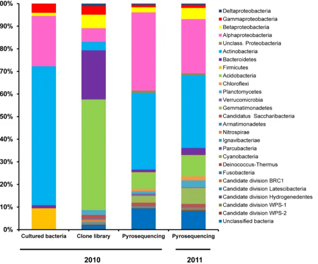 Fig 1. Relative abundance of the different bacterial phyla and proteobacterial classes identified through culture-dependent and culture