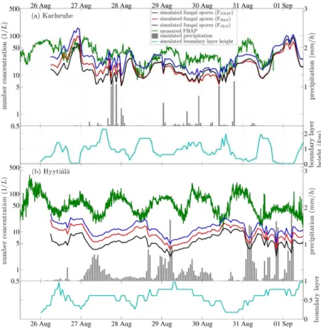 Fig. 5. Time series of measured FBAP and simulated fungal spore number concentrations in L −1 together with simulated precipitation in mm h −1 (right axis) and simulated boundary layer height in km (right axis) during the case study from 26 August to 1 Sep