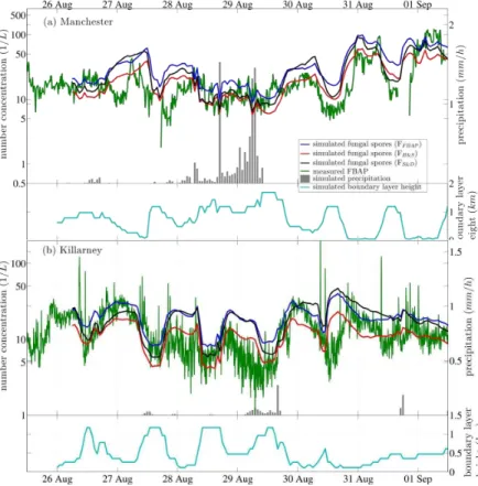 Fig. 6. Time series of measured FBAP and simulated fungal spore number concentrations in L −1 together with simulated precipitation in mm h −1 (right axis) and simulated boundary layer height in km (right axis) during the case study from 26 August to 1 Sep