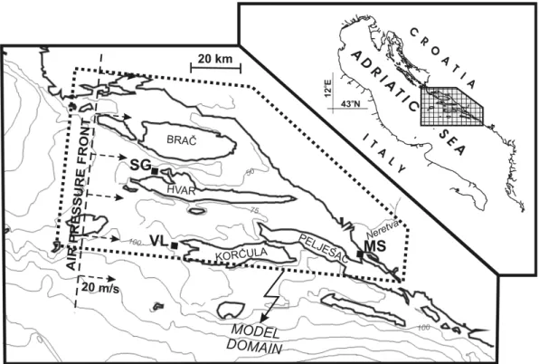 Fig. 1. Position and bathymetry of the eastern part of the middle Adriatic Sea. The domain of the numerical model is dashed, with grid points (rectangles) marked in front of Stari Grad (SG), Vela Luka (VL) and Mali Ston (MS) Bays