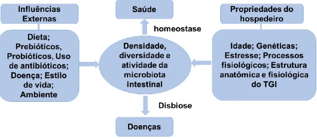 Figura 1. Fatores que influenciam a densidade, diversidade e atividade das bactérias do intestino