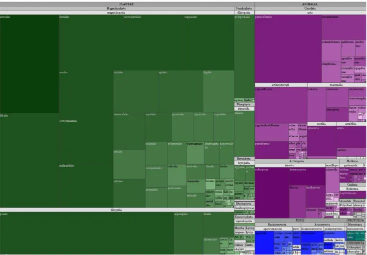 Figure 12. Nested surface map (tree map) of the taxonomy of GBIF.ES. Each cell belongs to a taxonomic order and is nested into a class cell;