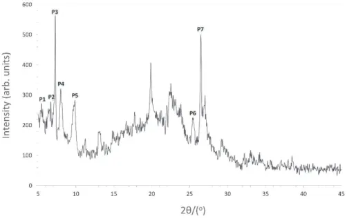 Fig. 5. SEM micrographs of the Ti-MWW catalyst 