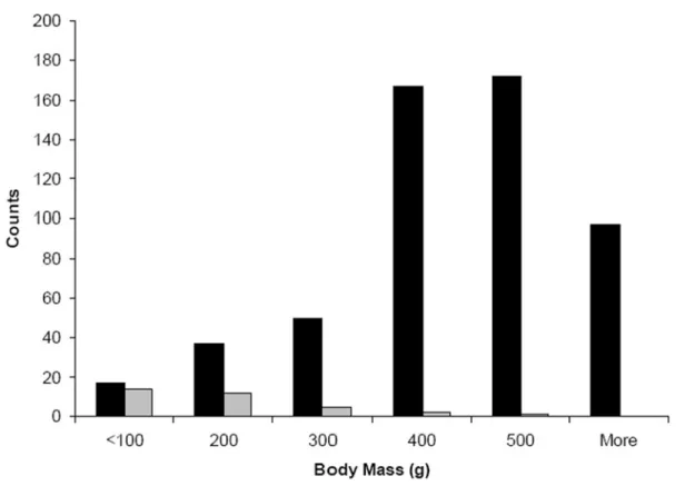 Figure 4. Body sizes of R. norvegicus trapped (black bars) and predated (gray bars) by cats in Baltimore.