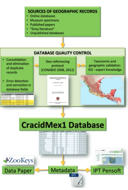 Figure 6. Flowchart depicting the iterative process for the construction of the CracidMex1 database up  to publication.