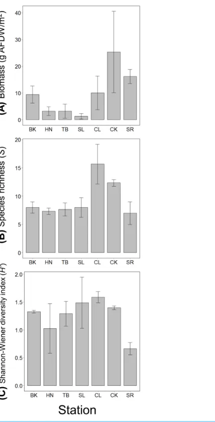 Figure 2 (A) The total invertebrate biomass, (B) species richness and (C) Shannon-Wiener diversity index at the seven stations in the Akkeshi-ko estuary and Akkeshi Bay