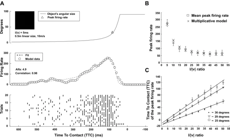 Figure 2. Responses of the LGMD model to a looming stimulus (solid square). (A) Upper panel: Stimulus’ angular size versus time