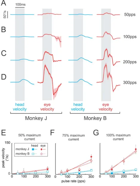 Figure 2.   Average VCR and VOR responses to increasing pulse rates.   A-D, Average head (blue) and eye (red) movement traces, in monkey J and B, evoked using increasing pulse rates of 50 (A), 100 (B), 200 (C) and 300pps (D) at maximum current amplitude