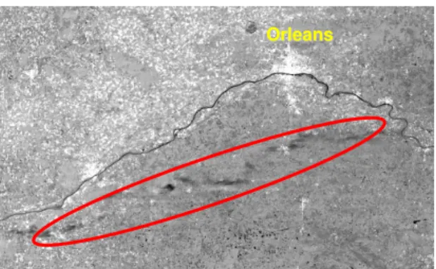 Fig. 6. Upper: A TerraSAR-X image obtained at 17:42 UTC over Orleans, France on 16 March 2008