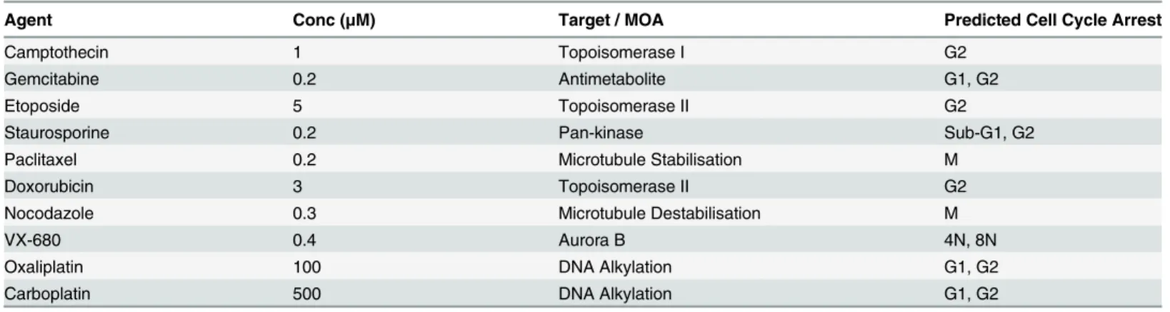 Table 1. Agents used to validate image analysis methodology.