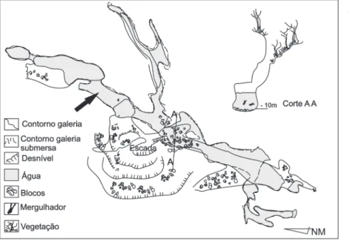 Figura 2. Mapa topográfico do Poço Azul do Milú, sendo que a seta indica o conduto onde  foi coletada parte dos fósseis (modificado de Rubbioli, 1998).