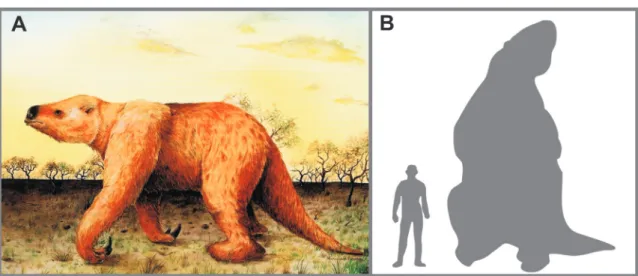 Figura 3. Reconstituição em vida da preguiça-gigante (A) e o animal em posição bípede (B)